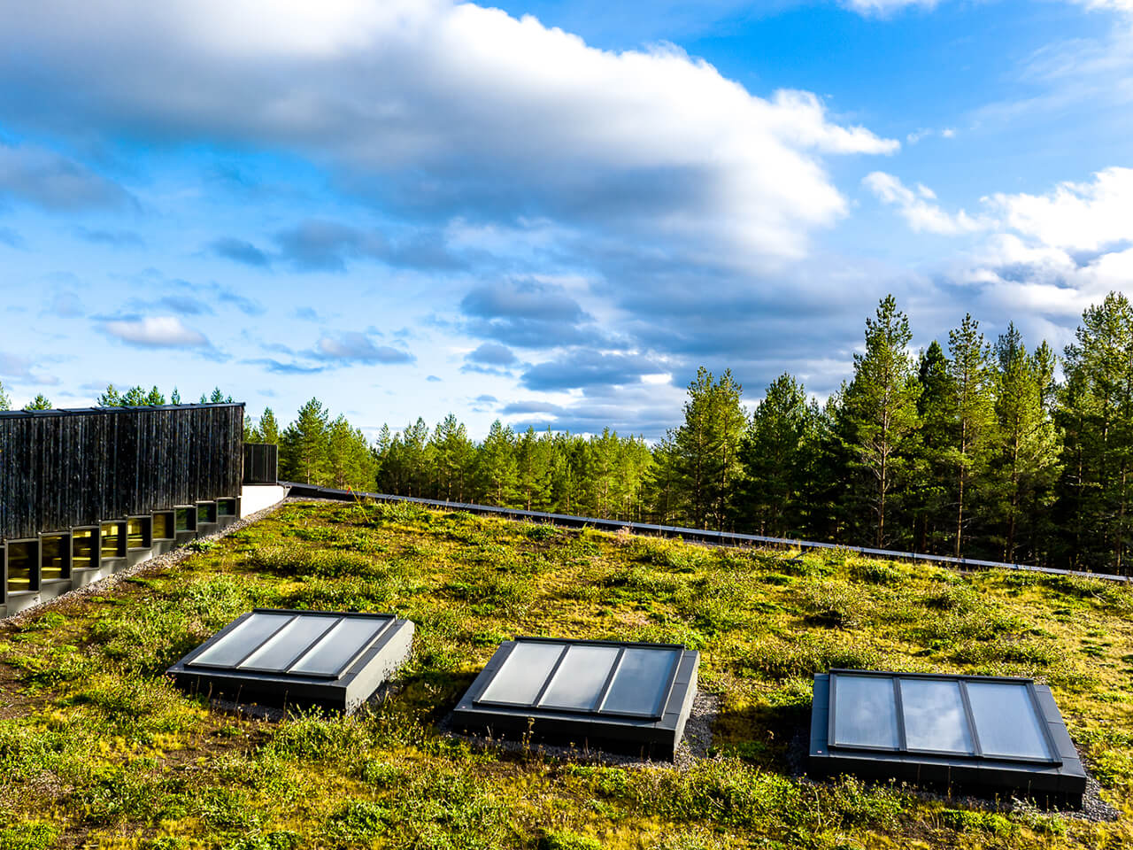 Utvendig bilde av tre overlysmoduler på rad på det grønne miljøvennlige taket.