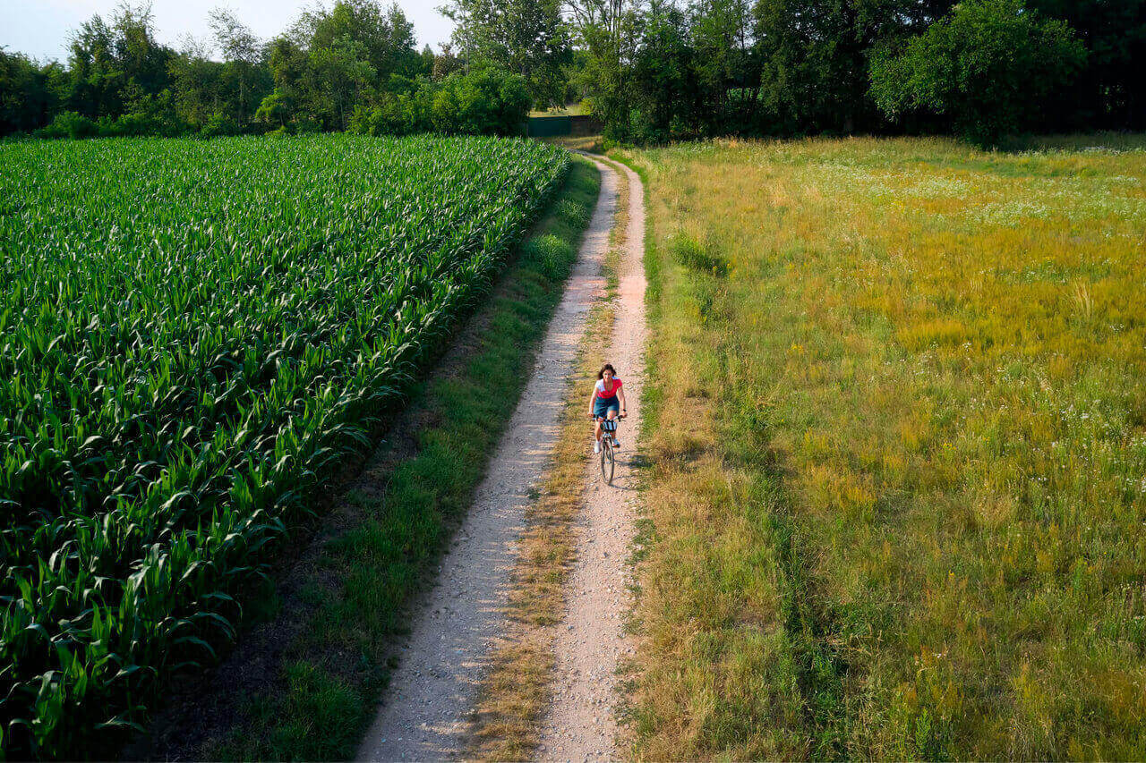 Image of a person riding bicycle in the middle of the fields