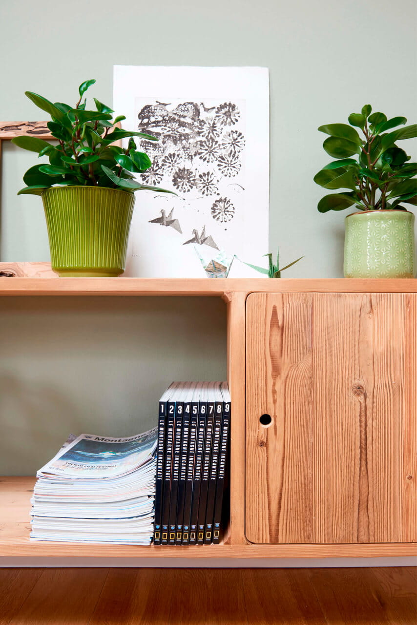 A wooden cabinet with plants next to a green painted wall