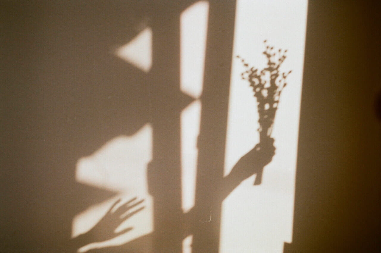 A shadow on the wall showing persons hand and one hand is holding some flowers